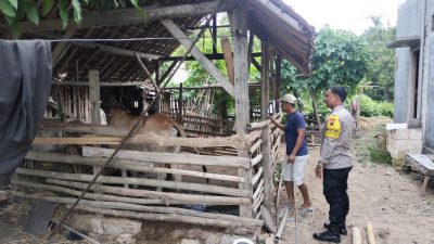 Polres Rembang Turunkan Bhabinkamtibmas Monitoring Penyebaran Penyakit PMK