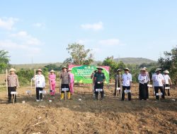 Polres Rembang Tanam Jagung 1 Juta Hektar Serentak Bersama Kapolri via Zoom
