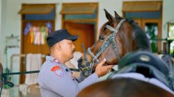 Derap Kuda Iringi Langkah Pengabdian Aiptu Biyanto Hidupkan Tradisi Andong Wisata Purwodadi