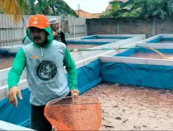 Aiptu Yustar Khamidi, Polisi Brebes Ini Tak Segan Turun ke Empang, Sukses Budidaya Lele Dukung Ketahanan Pangan