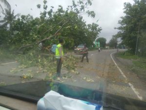 Anggota Polsek Sulang Rembang Bantu Warga Evakuasi Pohon Tumbang