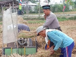 Dekat Dengan Masyarakat, Anggota Polsek Sluke Rembang Bantu Petani Panen Padi