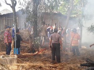 Simpan Jerami Kering Kebiasaan Warga Pedesaan di Rembang, Menjadi Pemicu Kerawanan
