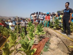 Temuan Mayat di Kebun Tembakau Suntri Gunem Selesai Diautopsi