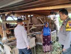 Siang Ini Bhabinkamtibmas Polsek Sarang Kembali Sambang Ke Kandang Warga, Upaya Cegah PMK Meluas