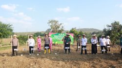 Polres Rembang Tanam Jagung 1 Hektar Serentak Bersama Kapolri via Zoom