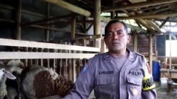 Dari Seragam Polri ke Kandang Kambing: Kisah Aiptu Agus Wujudkan Dedikasi dan Ketahanan Pangan