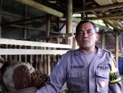 Dari Seragam Polri ke Kandang Kambing: Kisah Aiptu Agus Wujudkan Dedikasi dan Ketahanan Pangan