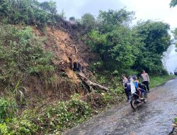 Pohon Tumbang Halangi Jalan Penghubung Desa, Polsek Gunem Sigap Evakuasi Pohon