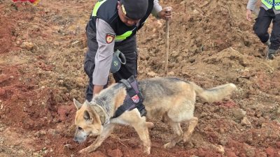 Polri Kerahkan Anjing Pelacak dalam Pencarian Korban Longsor Cilacap